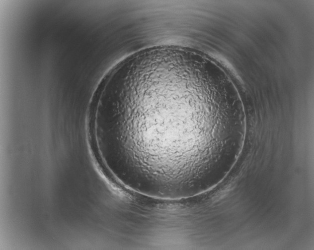 X0000073390991200608040856