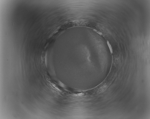 X0000073391010200608040855