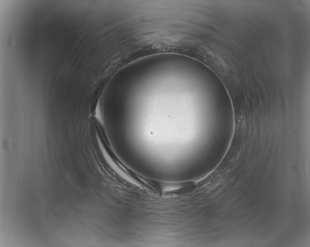 X0000073391012200608040855