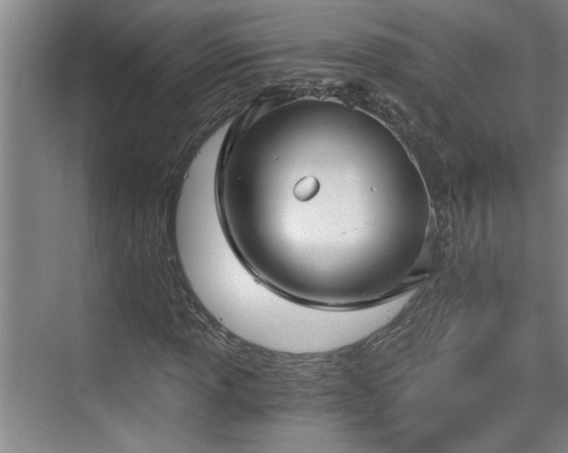 X0000073391013200608040855