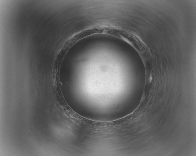 X0000073391016200608040855