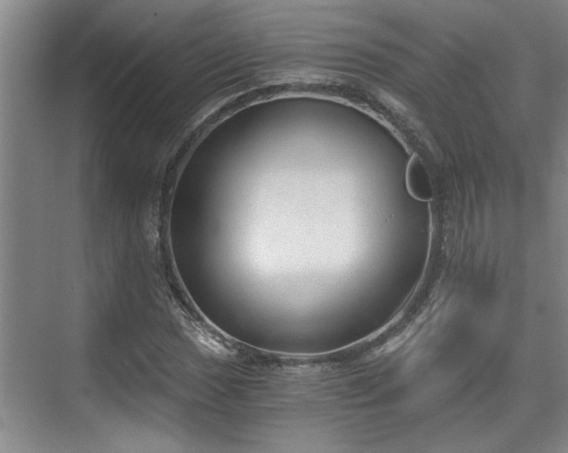 X0000073391017200608040855