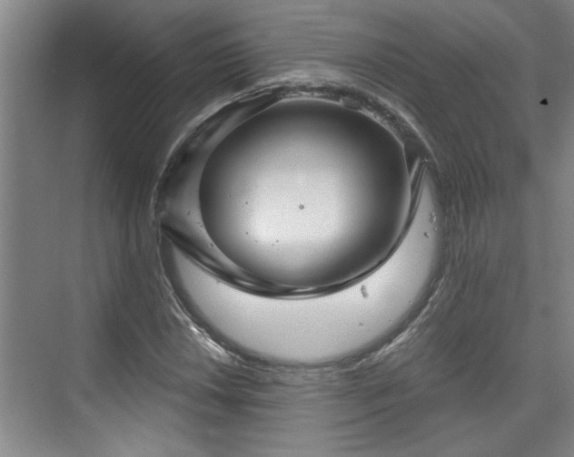 X0000073391018200608040855