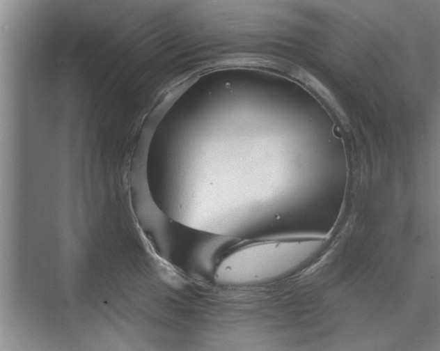 X0000073391049200608040856