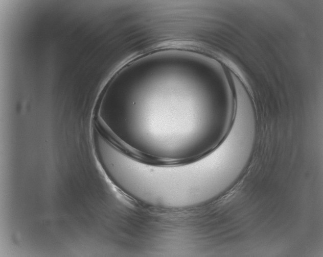 X0000073391050200608040856