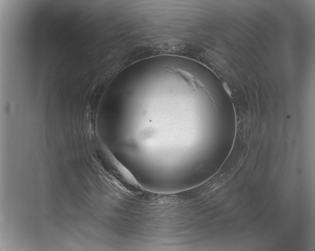 X0000073391058200608040855