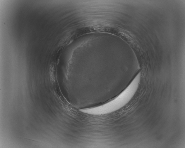 X0000073391060200608040855