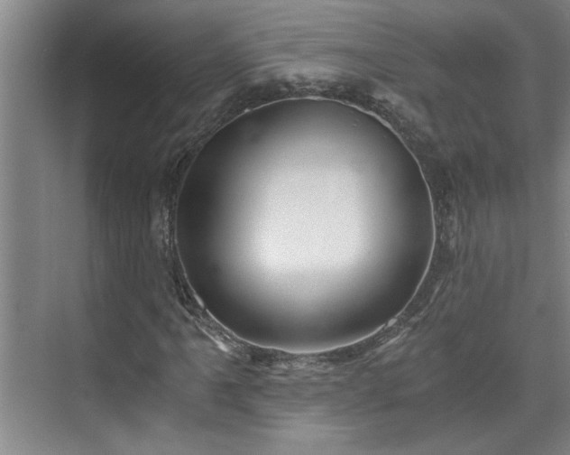 X0000073391061200608040855