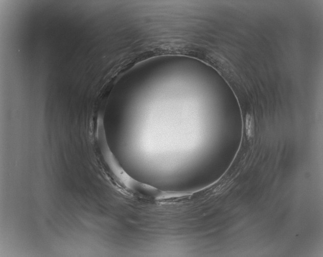 X0000073391107200608040854