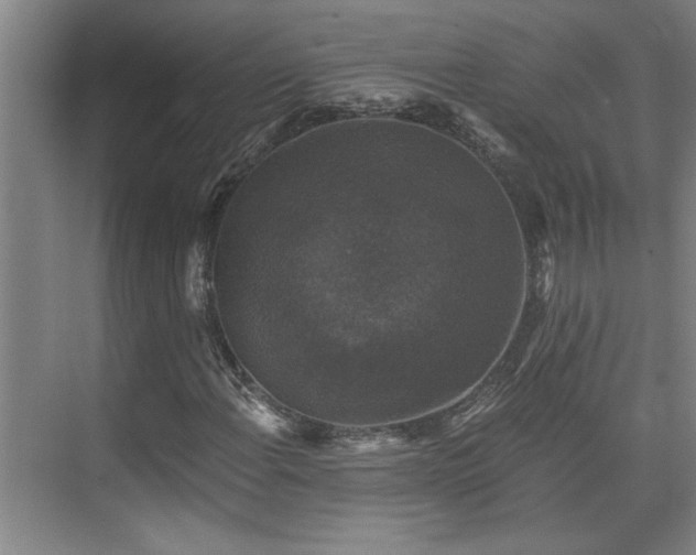 X0000073391108200608040854