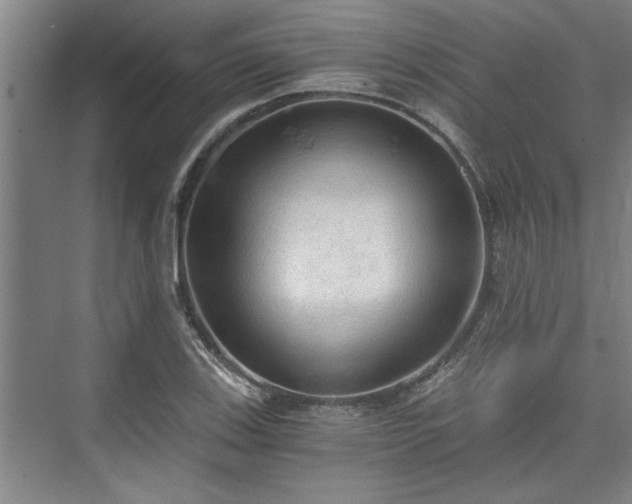 X0000073391123200608040854