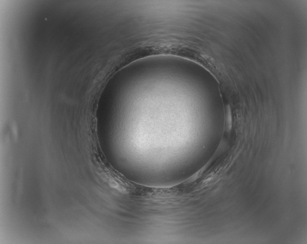 X0000073391153200608040854
