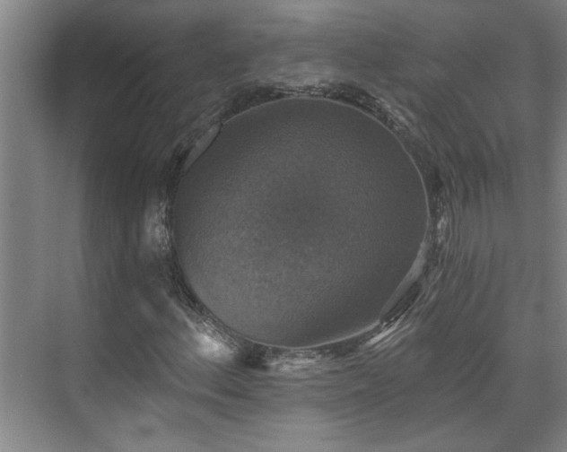 X0000073391156200608040854