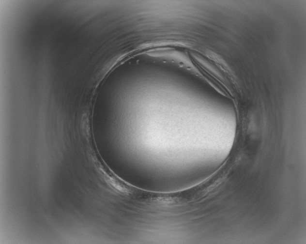 X0000073391177200608040853