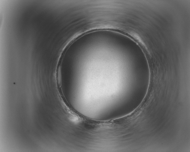 X0000073391181200608040853