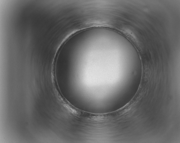 X0000073391182200608040853