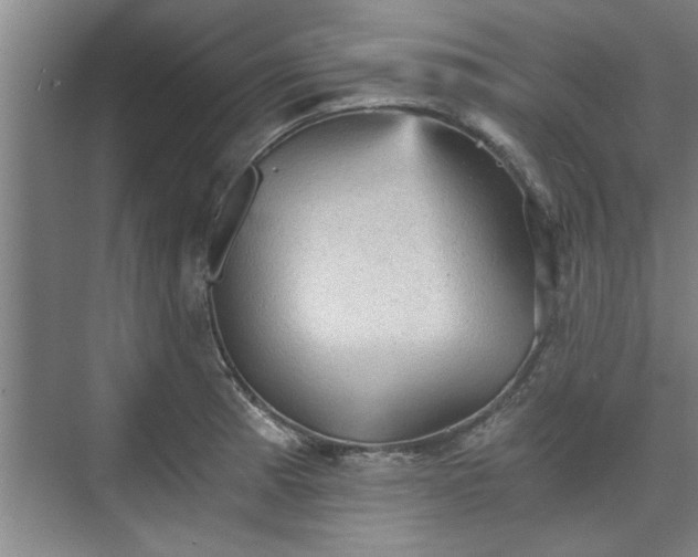 X0000073391185200608040853