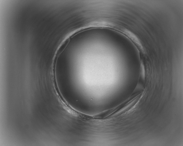 X0000073391192200608040853