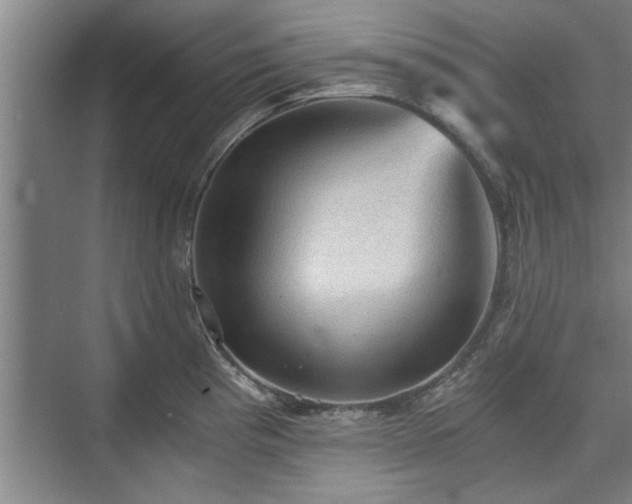 X0000073391193200608040853