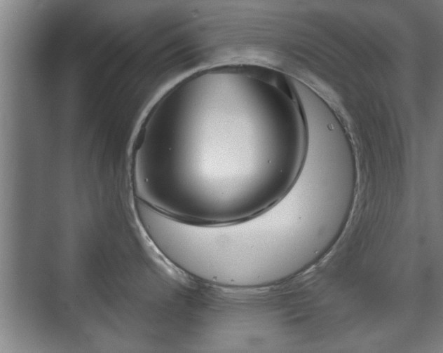 X0000073391200200608040853