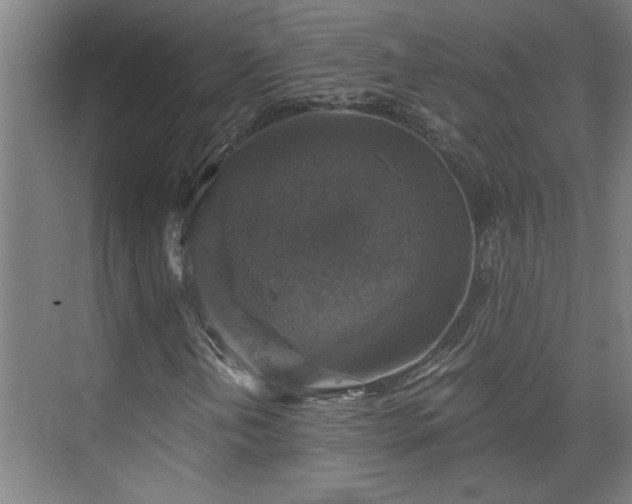 X0000073391202200608040852