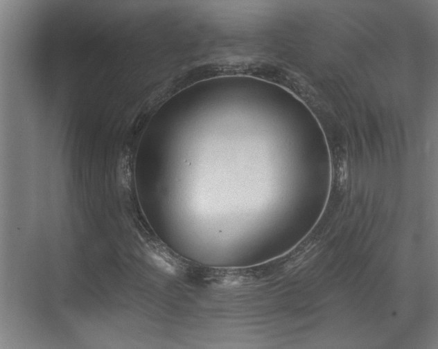 X0000073391204200608040852