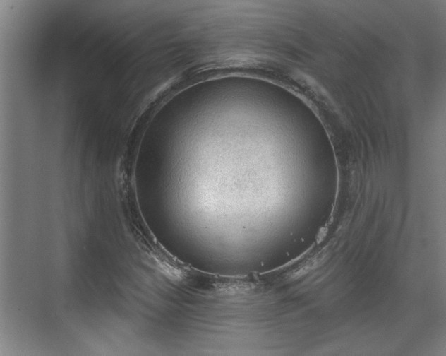 X0000073391210200608040852