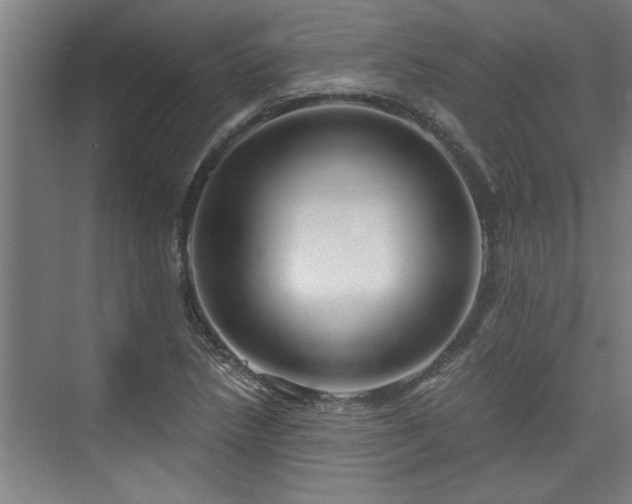 X0000073391218200608040852