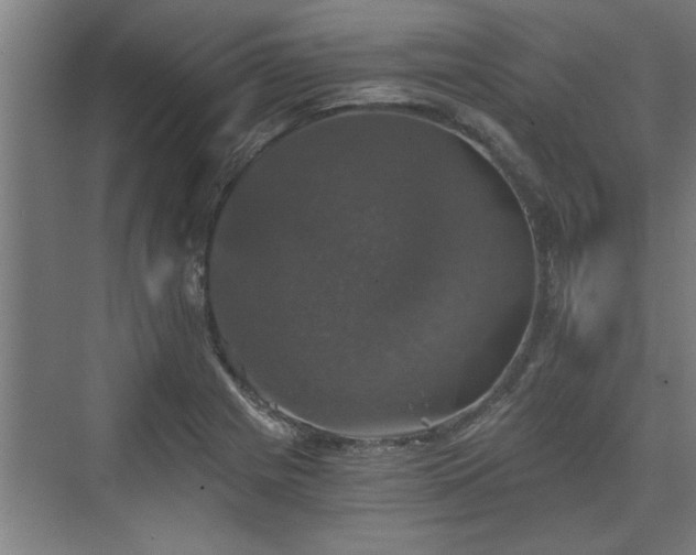 X0000073391225200608040853