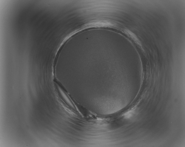 X0000073391226200608040853