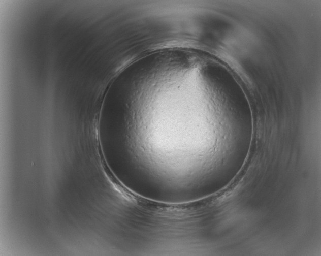X0000073391241200608040853