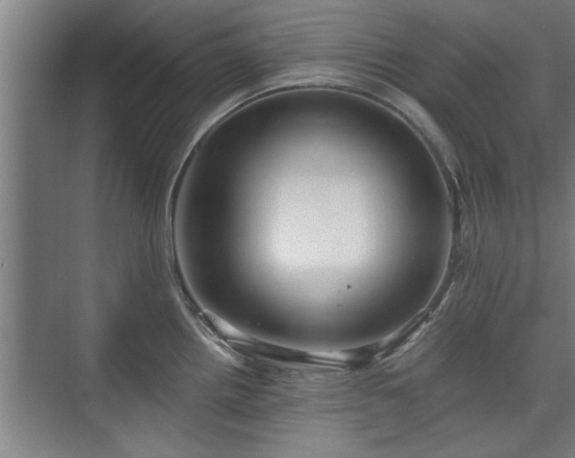 X0000073391242200608040853
