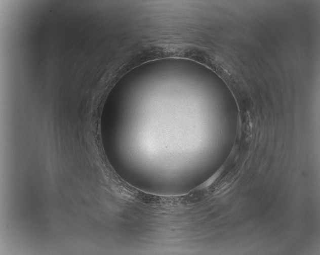 X0000073391249200608040852