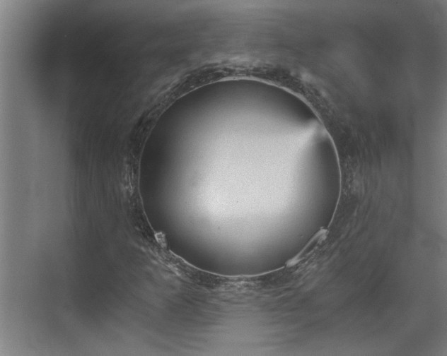 X0000073391253200608040852