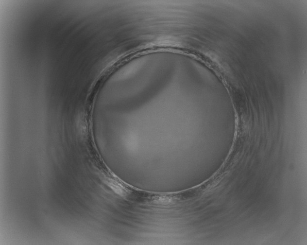 X0000073391266200608040852