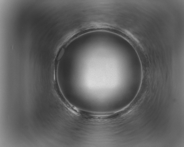 X0000073391269200608040852