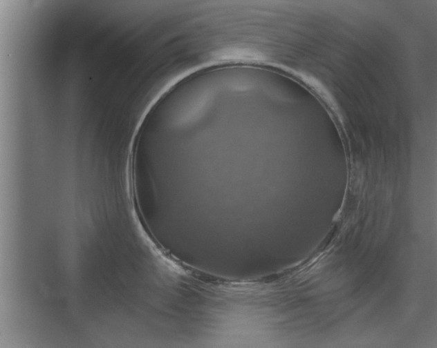 X0000073391295200608040851