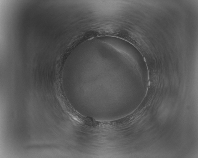 X0000073391297200608040851