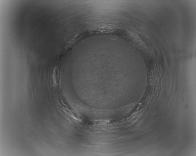 X0000073391298200608040851