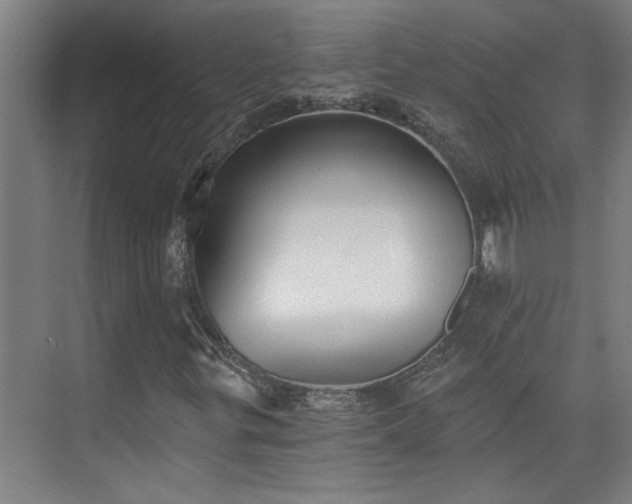 X0000073391299200608040851