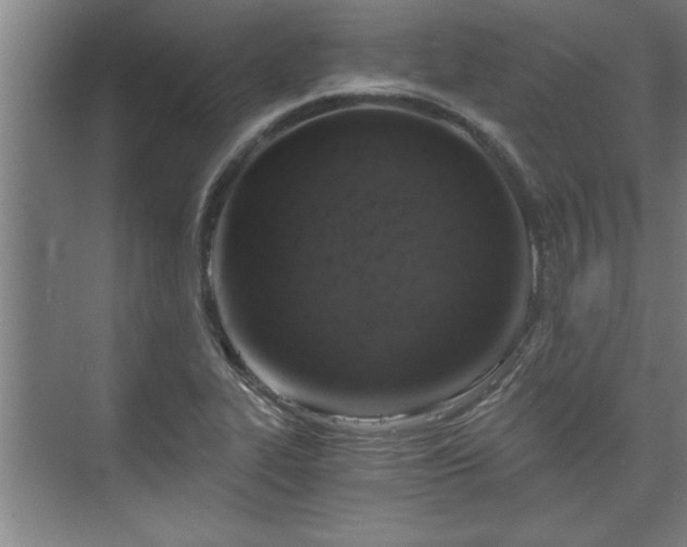 X0000073391319200608040851