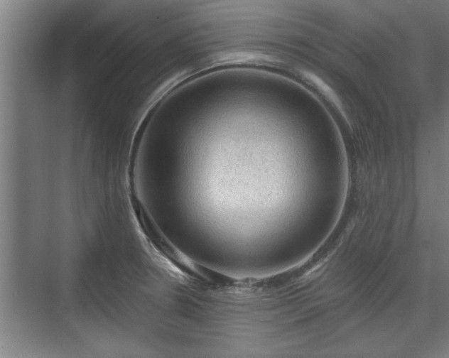 X0000073391330200608040851
