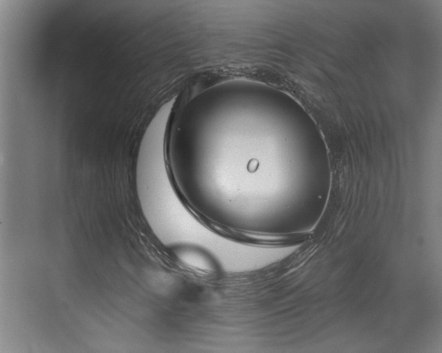 X0000073391346200608040850