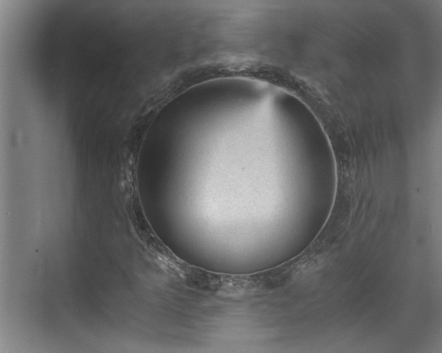 X0000073391349200608040850