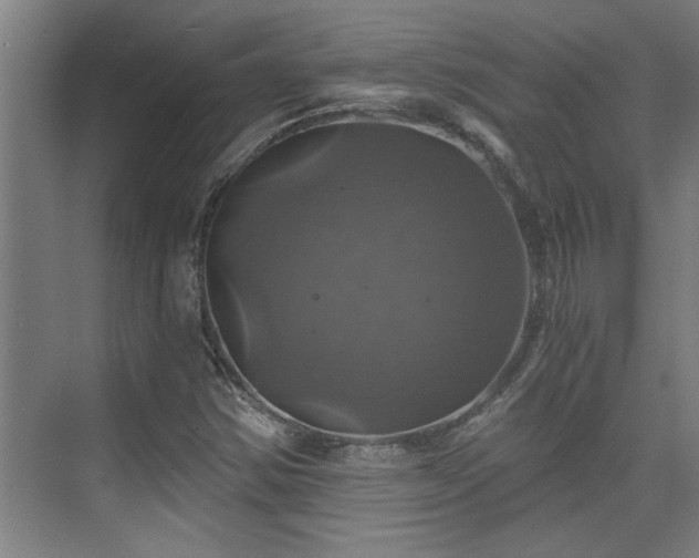 X0000073391354200608040850