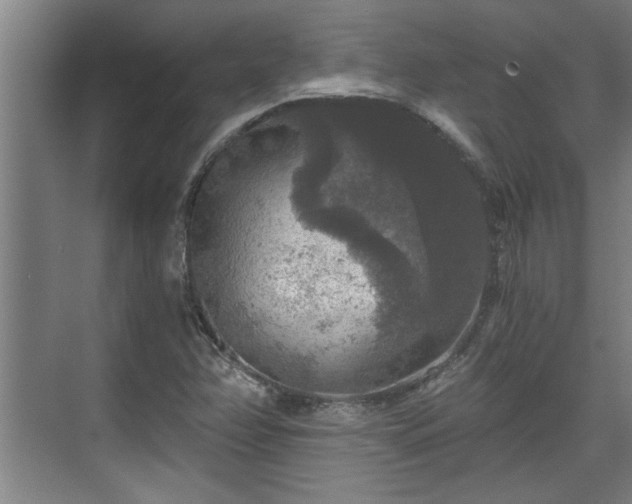 X0000073391358200608040850