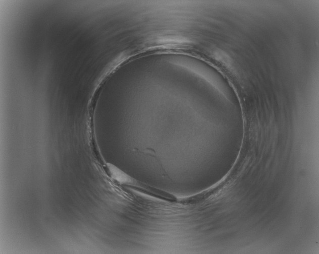 X0000073391362200608040850