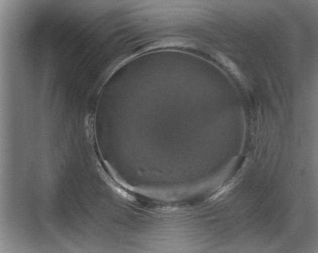 X0000073391369200608040850