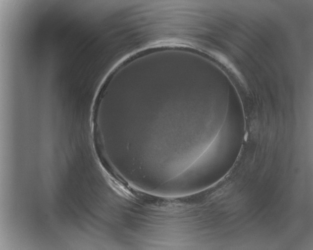 X0000073391372200608040850