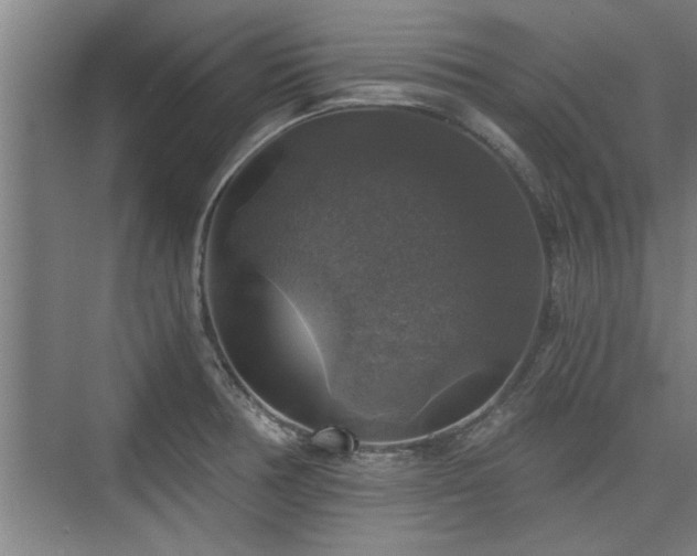 X0000073391378200608040850